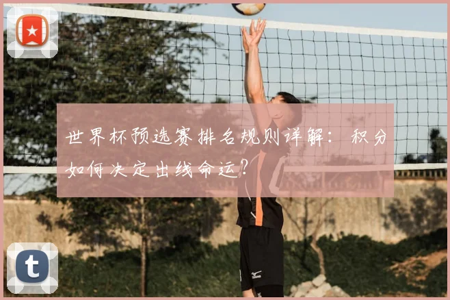 世界杯预选赛排名规则详解:积分如何决定出线命运?